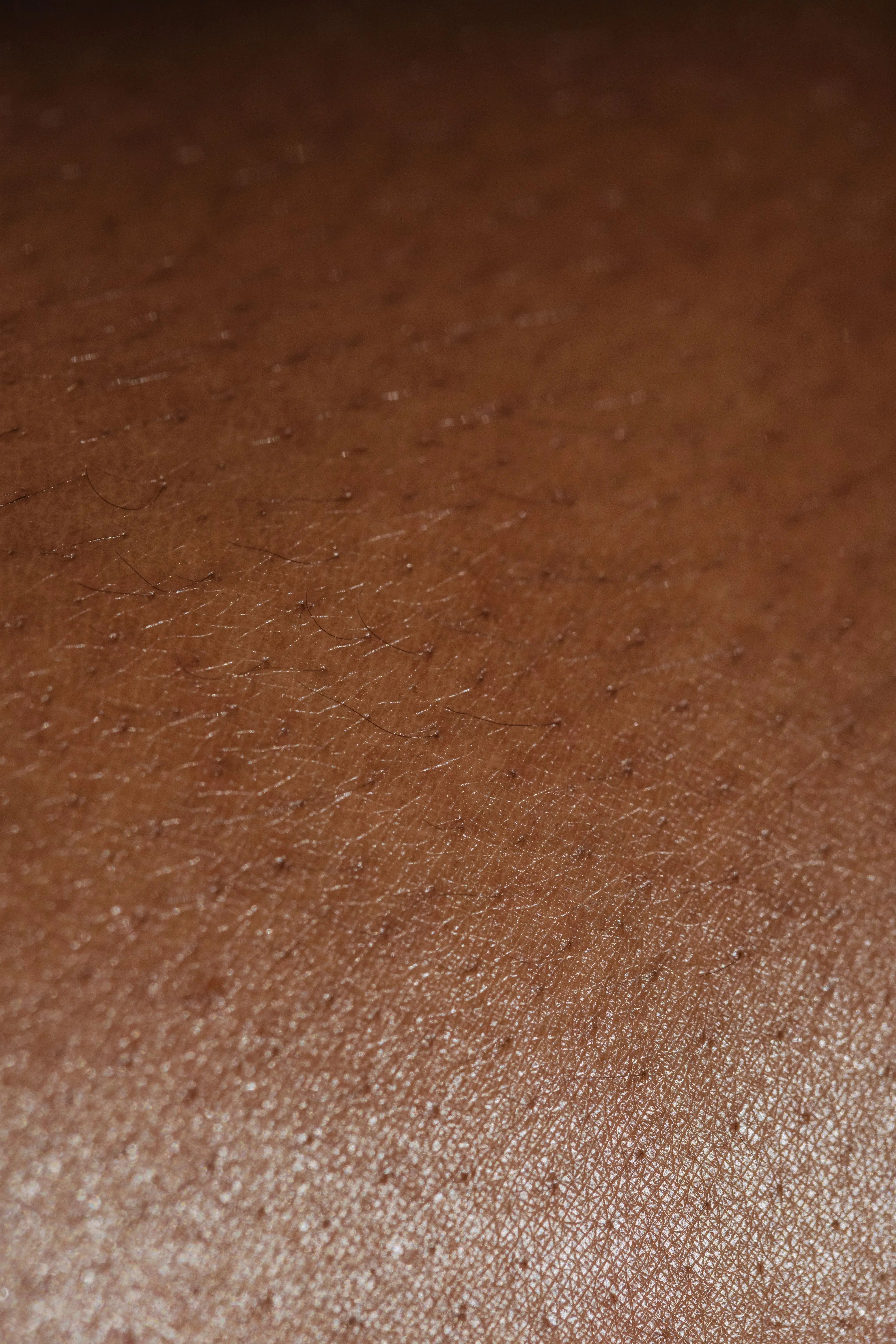 A close-up of skin texture in warm light